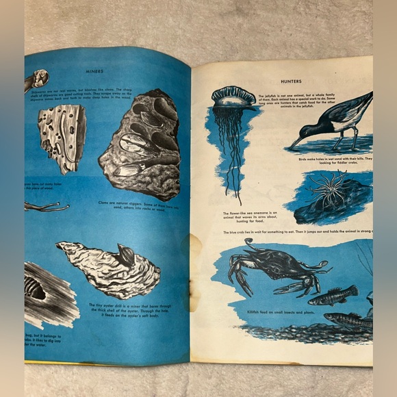 Vintage 1973 Golden Press Exploring Earth Oceanography Book, Paperback - Picture 8 of 14